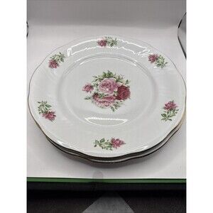 Formalities by Baum Bros. "Maria" Wide Rimmed Dinner Plates 10 1/2" (Set of 2)